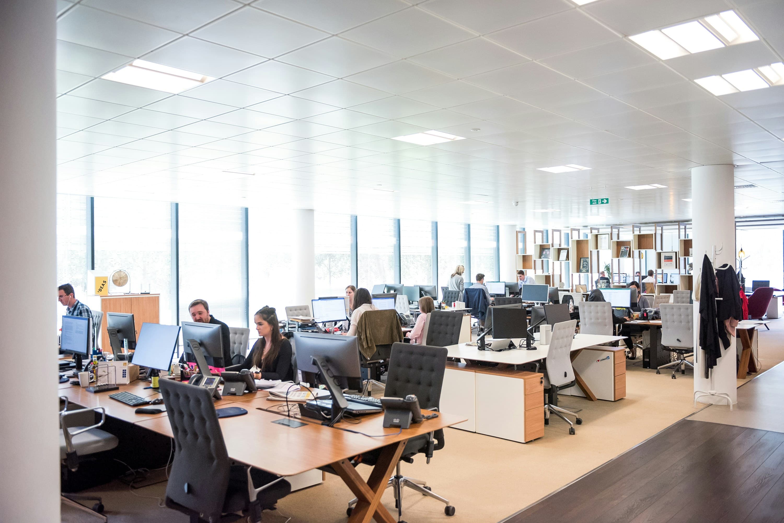 Employees working at computers in a bright, modern open-plan office with large windows.